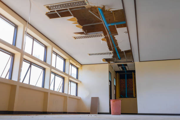 Best Water damage contractors near me  in Goshen, AR