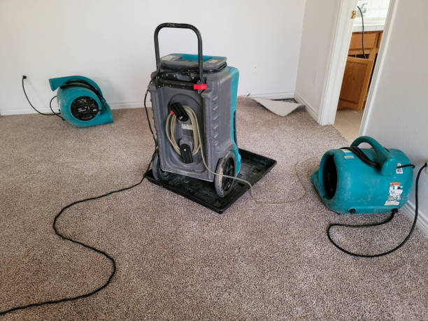 Best Mold removal after water damage  in Goshen, AR