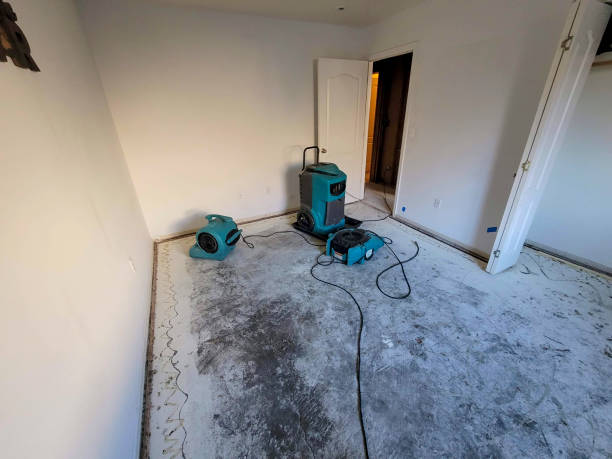 Best Water damage restoration near me  in Goshen, AR