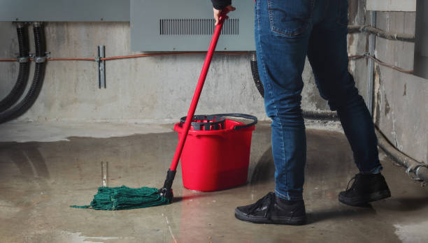 Best Ceiling water damage repair  in Goshen, AR