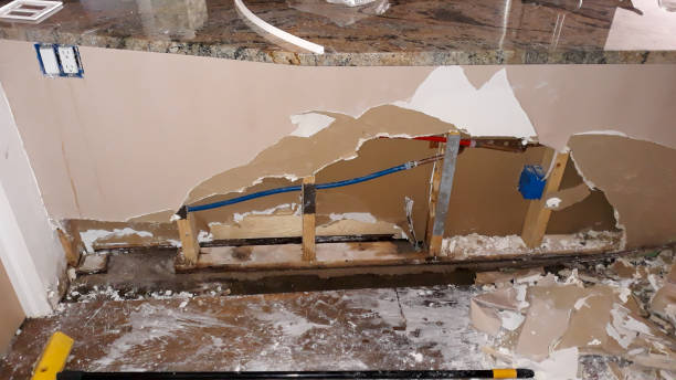 Best Carpet water damage restoration  in Goshen, AR