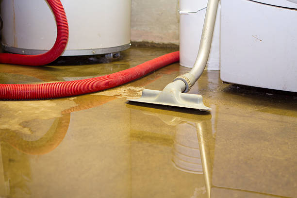 Best Professional water damage repair  in Goshen, AR