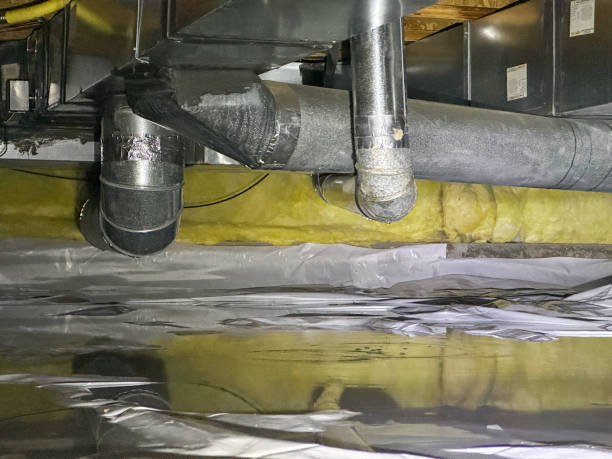 Best Flood damage cleanup  in Goshen, AR