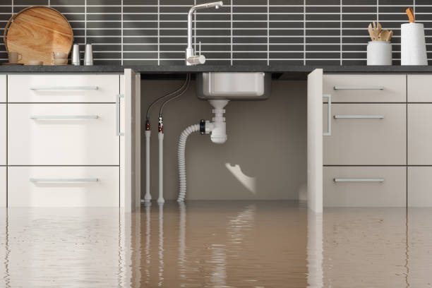 Best Flood restoration services  in Goshen, AR
