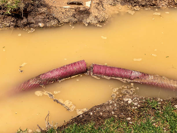 Best Emergency water extraction  in Goshen, AR
