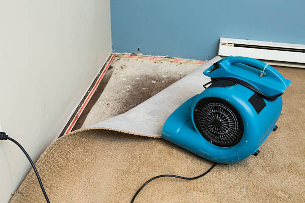 Best Water damage restoration near me  in Goshen, AR